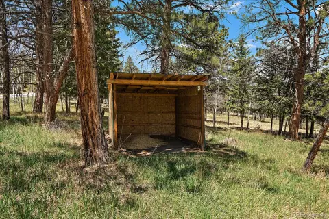 Burland Drive, Bailey, CO 80421 photo 6