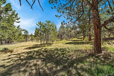 Burland Drive, Bailey, CO 80421 photo 8