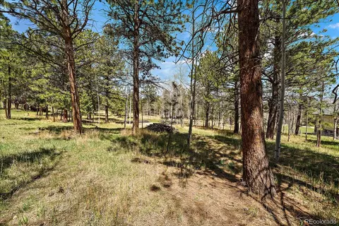 Burland Drive, Bailey, CO 80421 photo 2