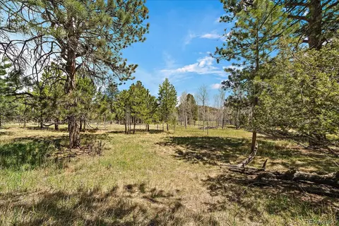 Burland Drive, Bailey, CO 80421 photo 7