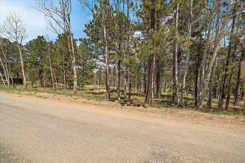 Burland Drive, Bailey, CO 80421 photo 12