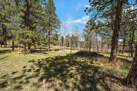 Burland Drive, Bailey, CO 80421 photo 3