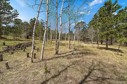 Burland Drive, Bailey, CO 80421 photo 11