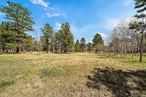 Burland Drive, Bailey, CO 80421 photo 9