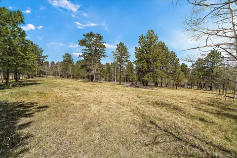 Burland Drive, Bailey, CO 80421 photo 10
