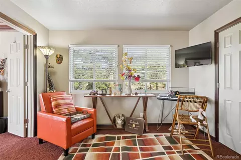 Other - 221 Juniper Ln, Bailey, CO 80421 photo 9 of 12