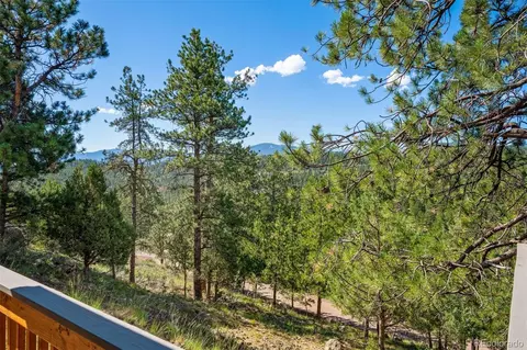Other - 221 Juniper Ln, Bailey, CO 80421 photo 11 of 12