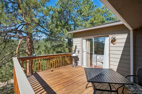 Exterior - 221 Juniper Ln, Bailey, CO 80421 photo 2 of 7