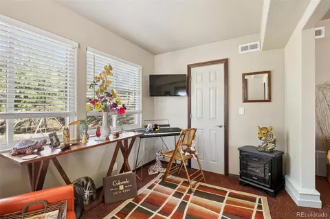 Other - 221 Juniper Ln, Bailey, CO 80421 photo 8 of 12