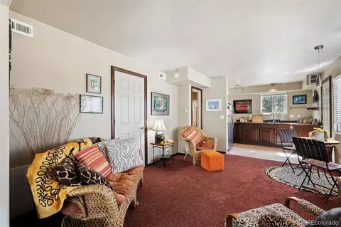 Other - 221 Juniper Ln, Bailey, CO 80421 photo 7 of 12