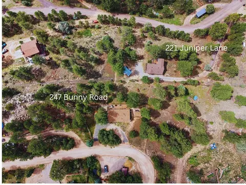 View/Area - 221 Juniper Ln, Bailey, CO 80421 photo 1 of 4
