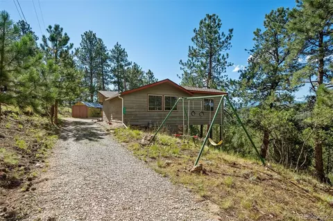 Exterior - 221 Juniper Ln, Bailey, CO 80421 photo 3 of 7