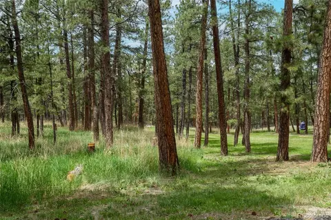 Other - 4719 Beaver Rdg, Elbert, CO 80106 photo 10 of 16