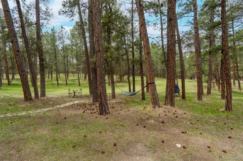 Exterior - 4719 Beaver Rdg, Elbert, CO 80106 photo 6 of 7