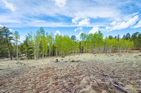 57 Beaver Creek Dr, Lake George, CO 80827