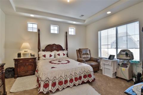 19591 E 53rd Ave, Denver, CO 80249 photo 13