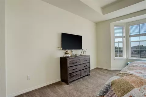 14747 Ulster Loop, Thornton, CO 80602 photo 13