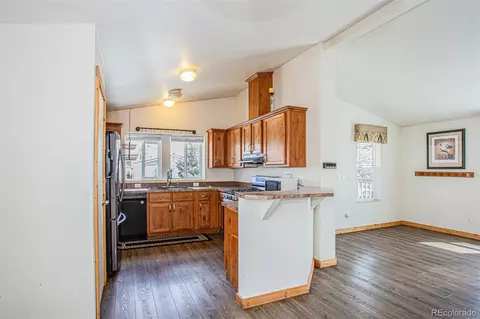 40 Maroon Peak Cir, Dillon, CO 80435 photo 4