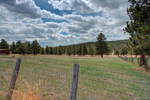 502 Homestead Rd, Bailey, CO 80421 photo 24