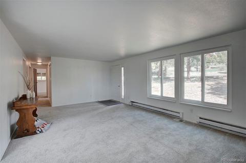 502 Homestead Rd, Bailey, CO 80421 photo 4