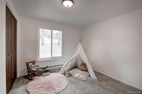 502 Homestead Rd, Bailey, CO 80421 photo 16