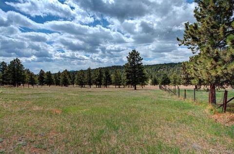 502 Homestead Rd, Bailey, CO 80421 photo 22
