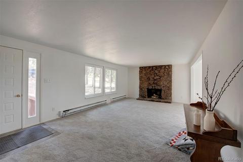 502 Homestead Rd, Bailey, CO 80421 photo 3