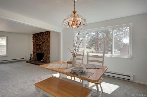 502 Homestead Rd, Bailey, CO 80421 photo 7