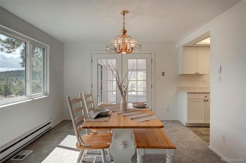 502 Homestead Rd, Bailey, CO 80421 photo 1