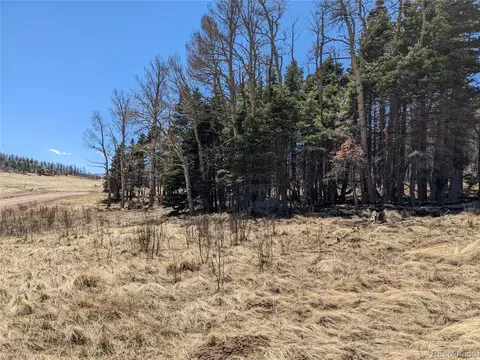 2056 Forbes Park Rd, Fort Garland, CO 81133