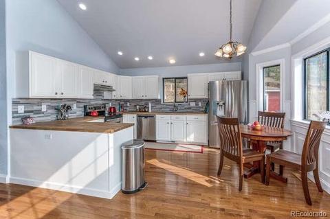 202 Wilkins Rd, Bailey, CO 80421 photo 11