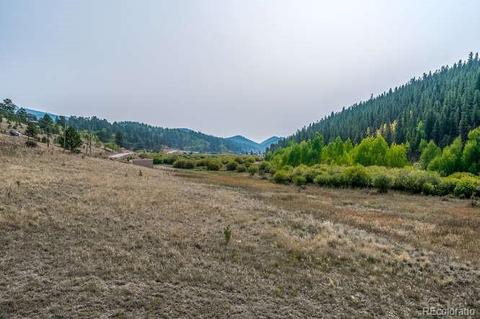 202 Wilkins Rd, Bailey, CO 80421 photo 39