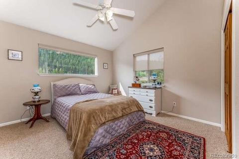 202 Wilkins Rd, Bailey, CO 80421 photo 17