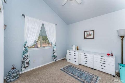 202 Wilkins Rd, Bailey, CO 80421 photo 19