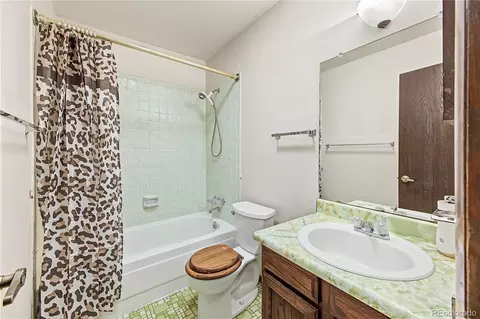 Bath - 19391 Eldorado Dr, Aurora, CO 80013 photo 3 of 4