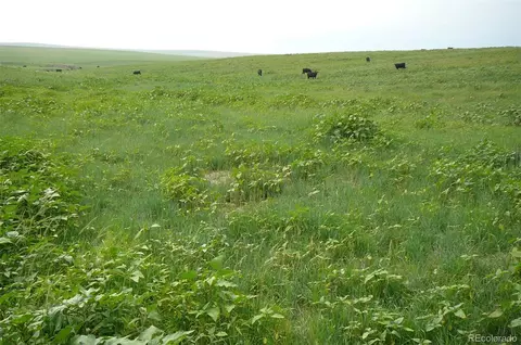 Rural, Deer Trail, CO 80105