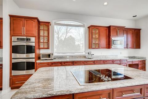 10230 Longview Dr, Lone Tree, CO 80124 photo 9