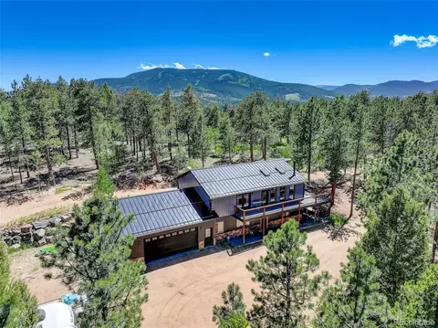 858 Forest Dr, Bailey, CO 80421
