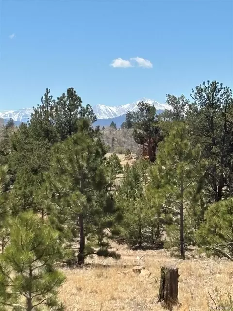 226 Hiawatha Circle, Hartsel, CO 80449