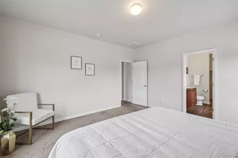 4587 E 95th Dr, Thornton, CO 80229 photo 17