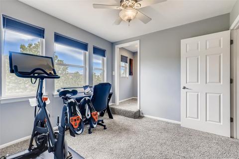 8902 E 29th Pl, Denver, CO 80238 photo 19