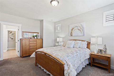 8788 E 54th Pl, Denver, CO 80238 photo 18