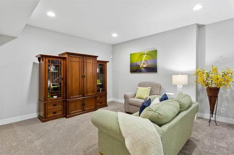 8788 E 54th Pl, Denver, CO 80238 photo 26