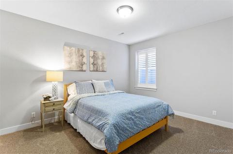 8788 E 54th Pl, Denver, CO 80238 photo 29