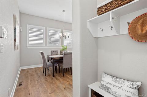8788 E 54th Pl, Denver, CO 80238 photo 31