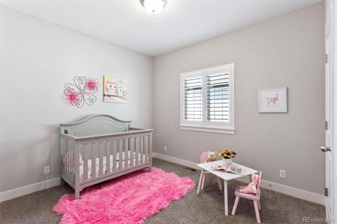 8788 E 54th Pl, Denver, CO 80238 photo 22