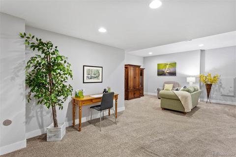 8788 E 54th Pl, Denver, CO 80238 photo 28