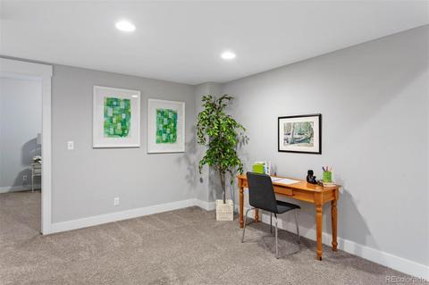 8788 E 54th Pl, Denver, CO 80238 photo 27
