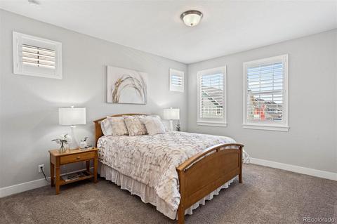 8788 E 54th Pl, Denver, CO 80238 photo 17