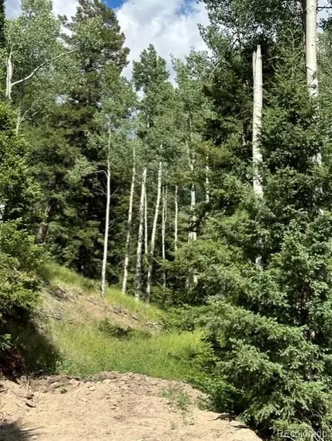 Tbd, Jasper, CO 81132 photo 4